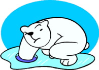 polar bear